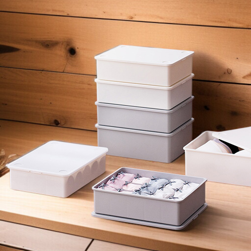 Essential Makeup Organizer and Underwear Storage for Dorms