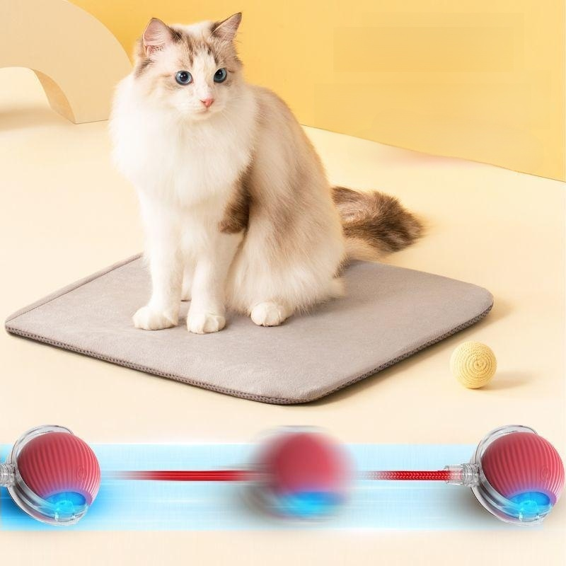 Intelligenter elektrischer Katzenball