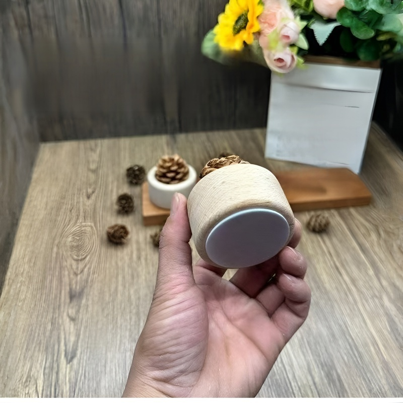 Dekoration mit Kiefernzapfen-Diffusor