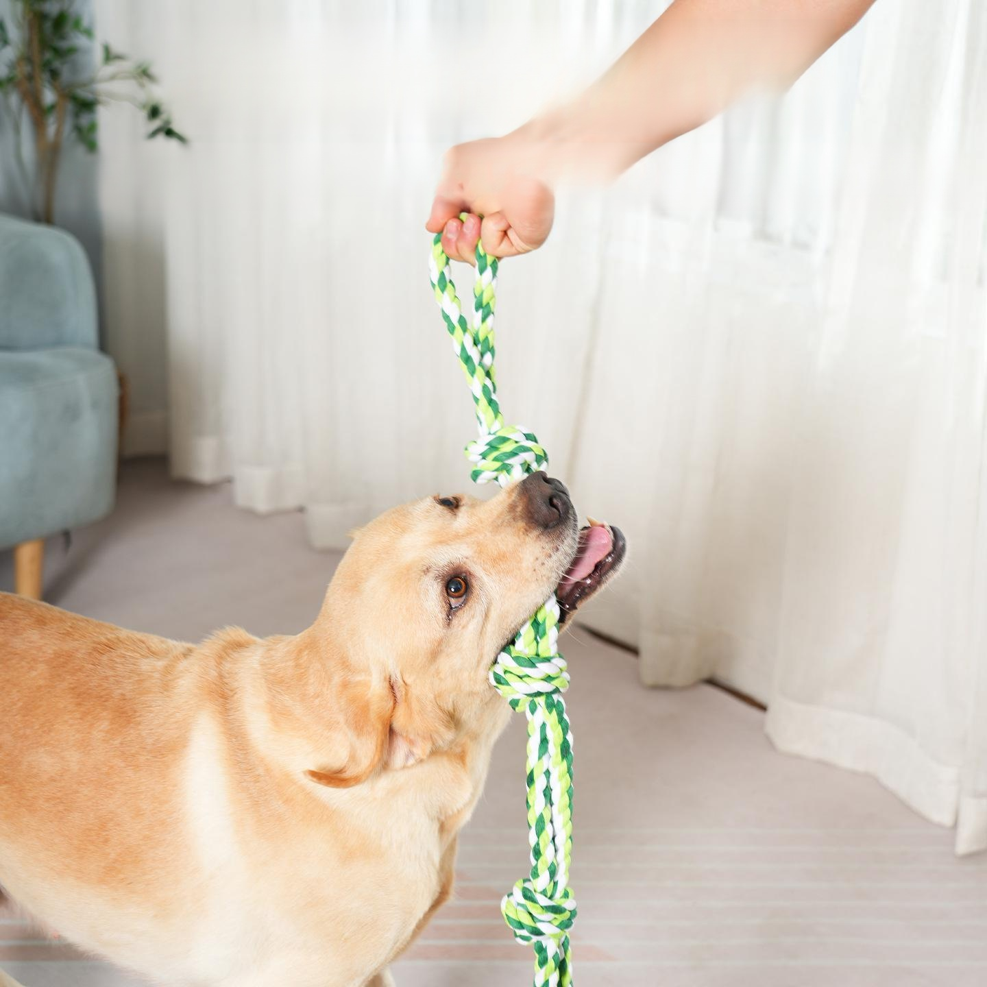 Durable Cotton Rope Toy for Large Dogs, Tug-of-War Chew Knot
