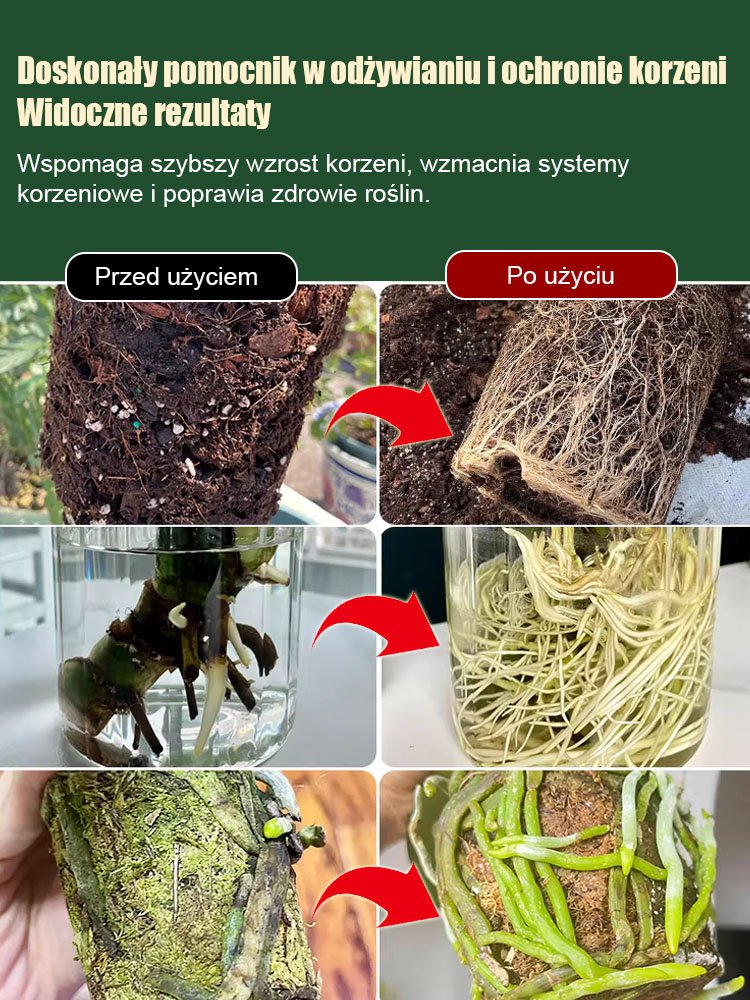Roztwór do ukorzeniania i wzmacniania sadzonek, przesadzania i sadzenia