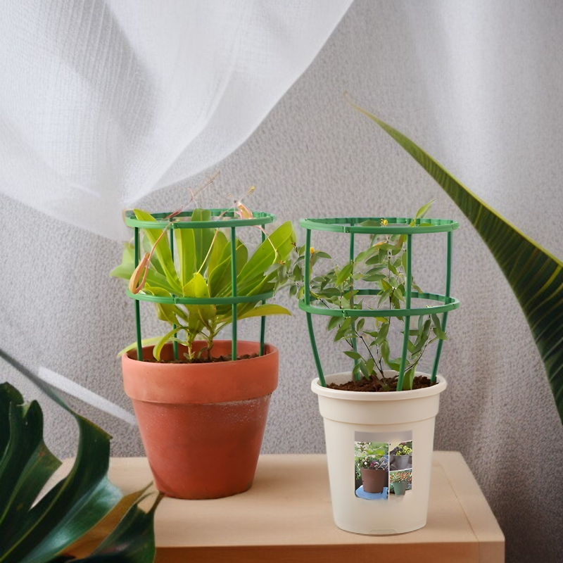  Pflanzenstütze Gartenstütze