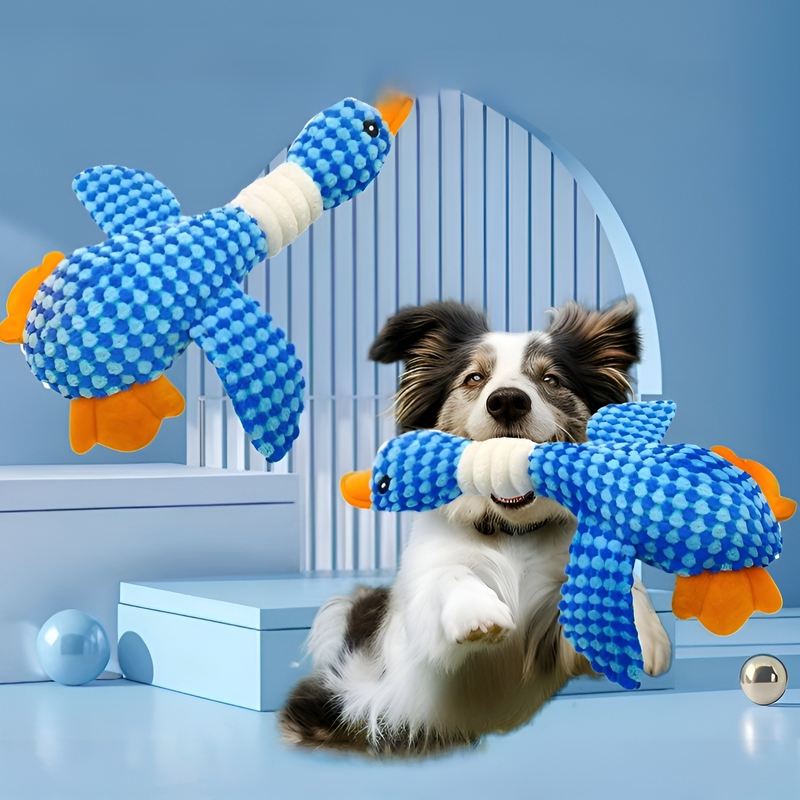 Dog Chew Toy