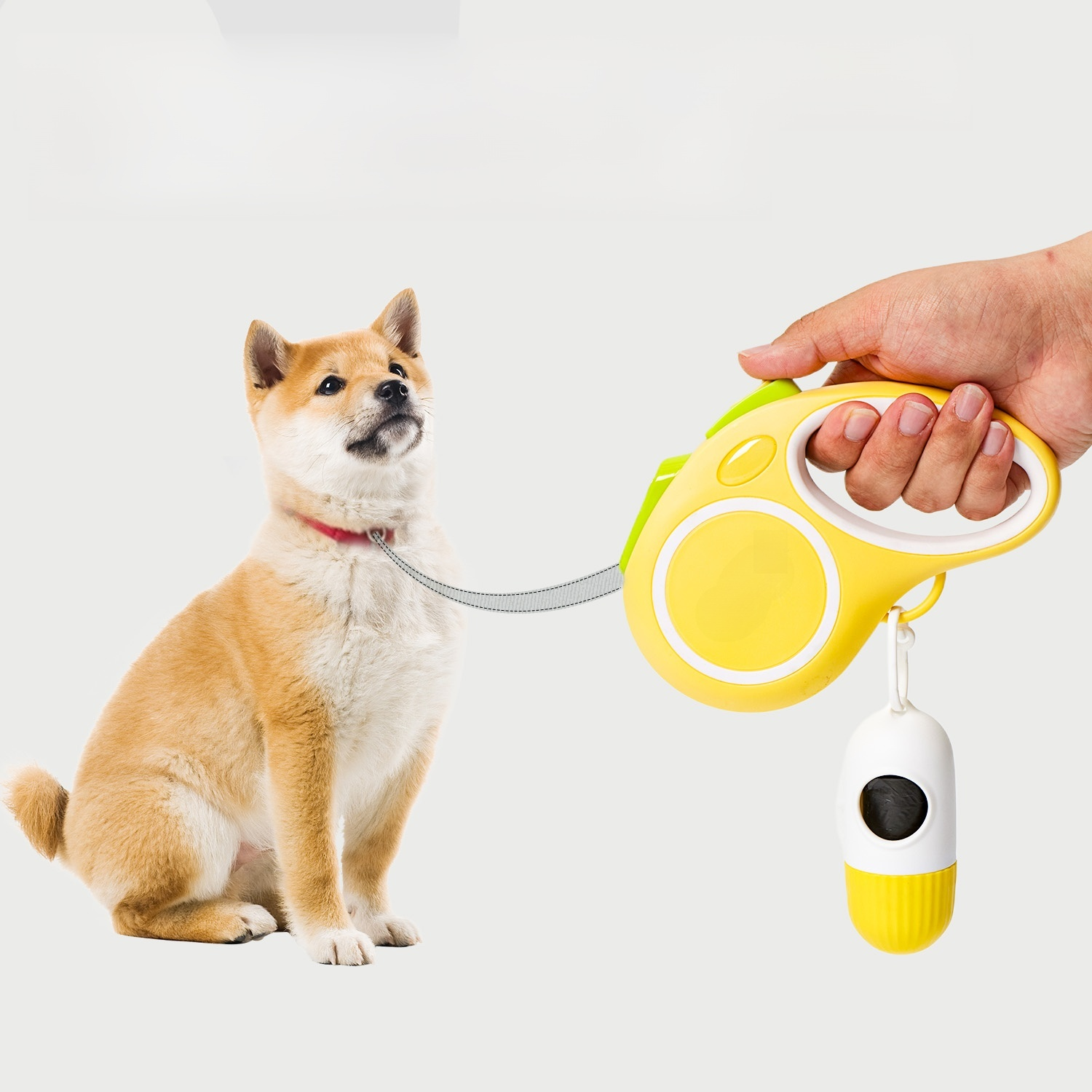 Leichte, ausziehbare Hundeleine