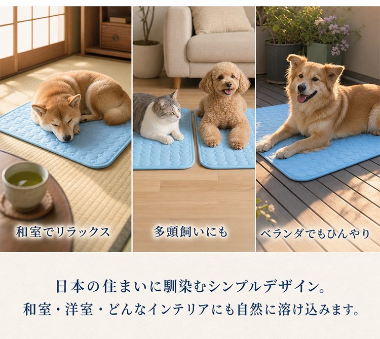 垫子_28.jpg