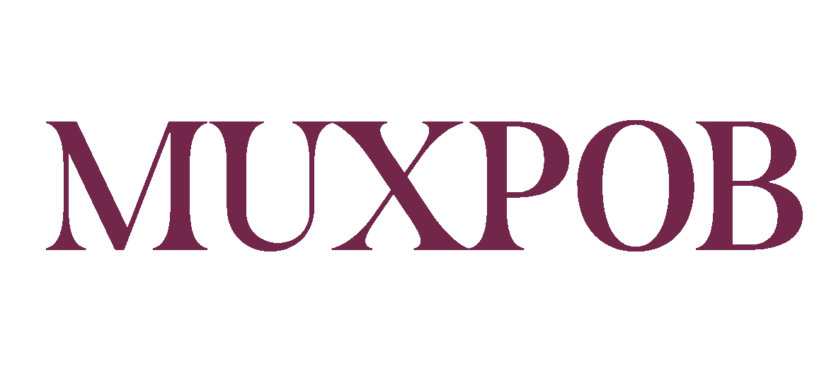 섬세한 소프트 포커스 프레스드 파우더