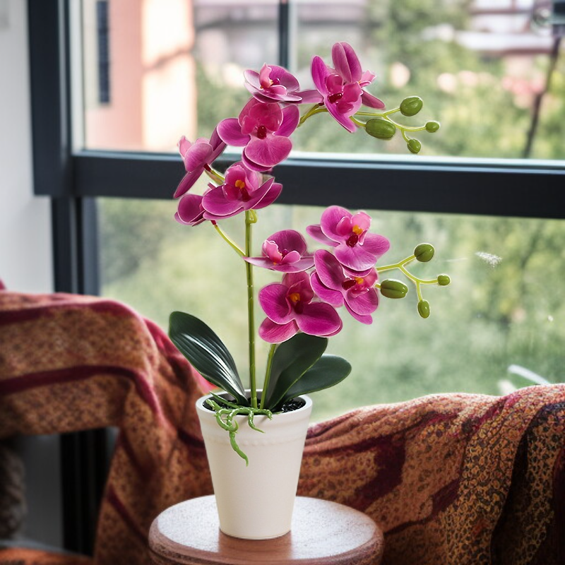 婚禮佈置用蝴蝶蘭仿真花盆景
