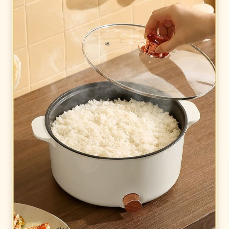 マルチクッカー電鍋