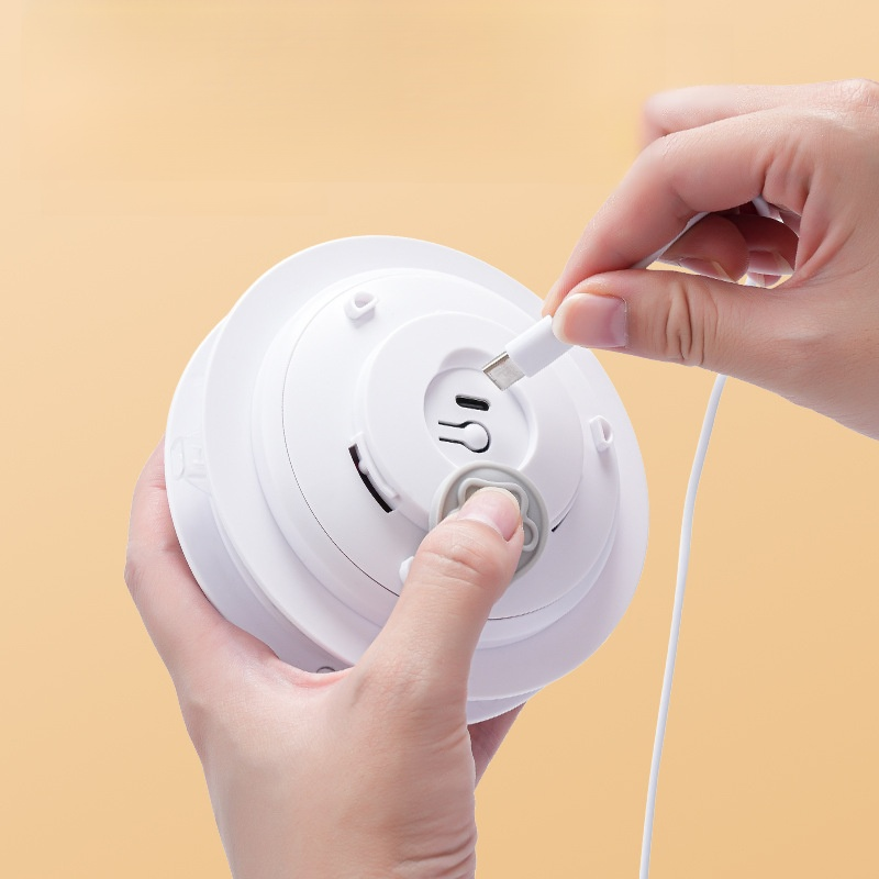 Self-entertaining cat chaser