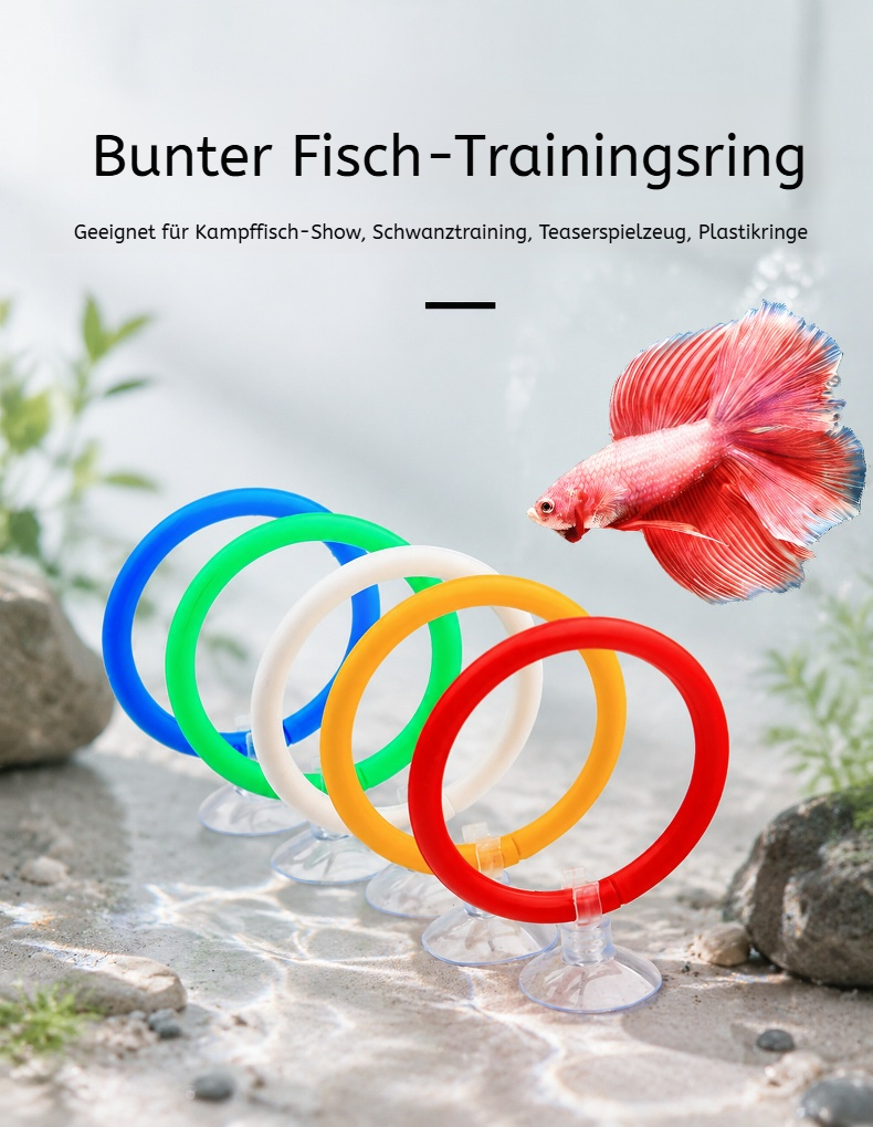 Ausstellungs- und Trainingsring für Betta-Fische im Aquarium