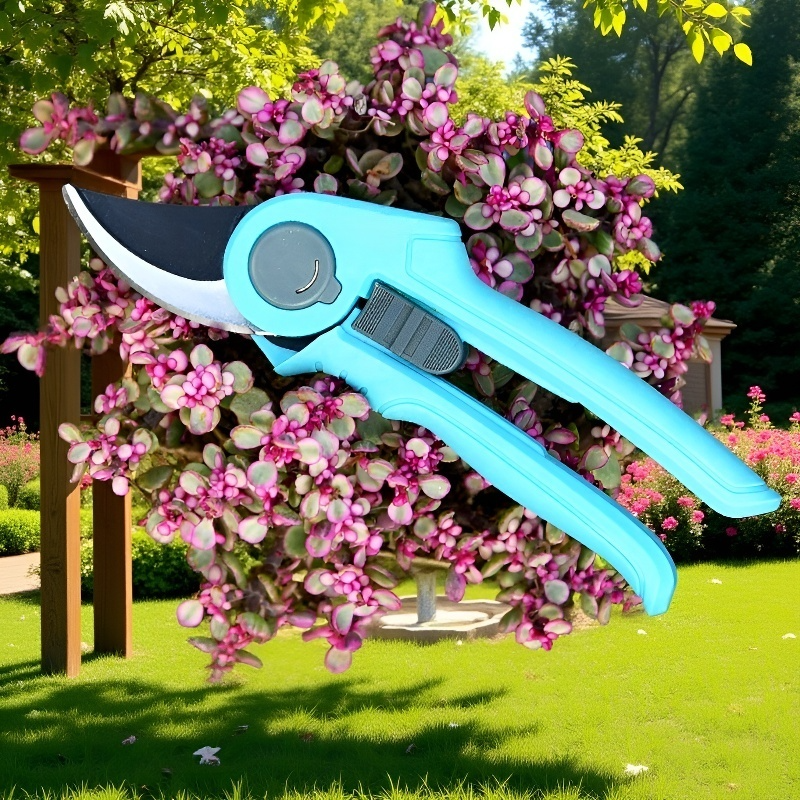 가정용 분재 꽃 가꾸기 세트