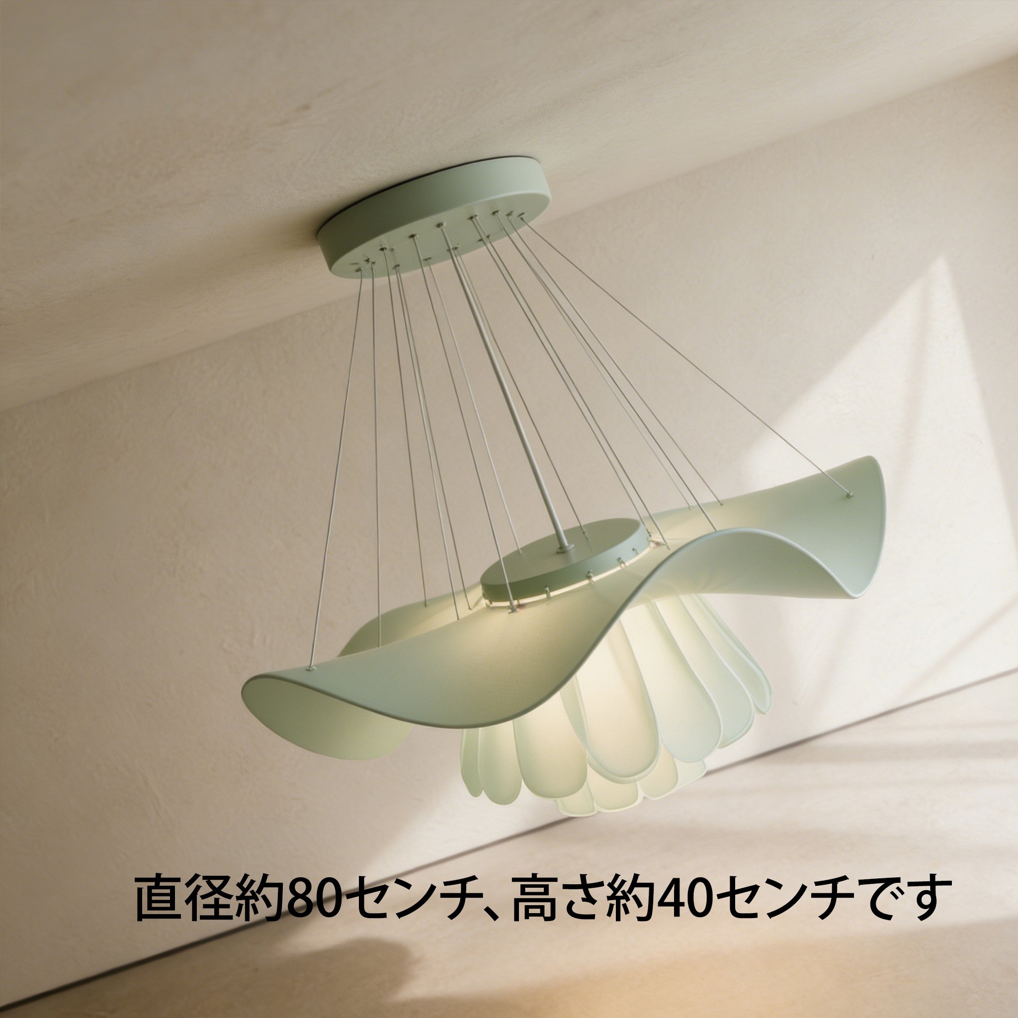 组 1.jpg