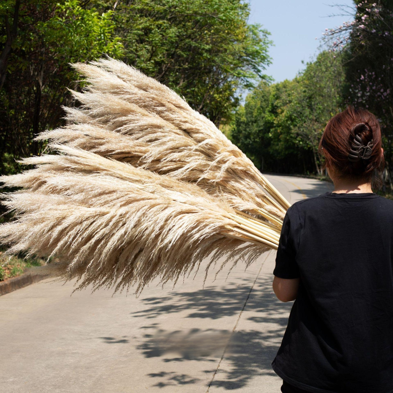 Big Reed True Flower Dried Flower Decoration