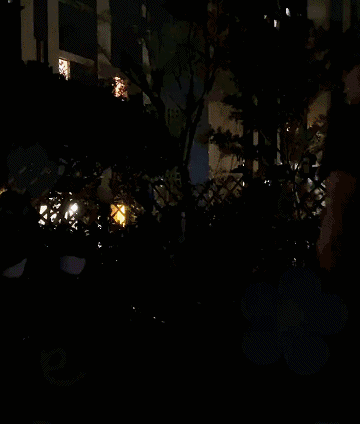 e382d376a6d8cfafe21885a4f2b35bdf.gif
