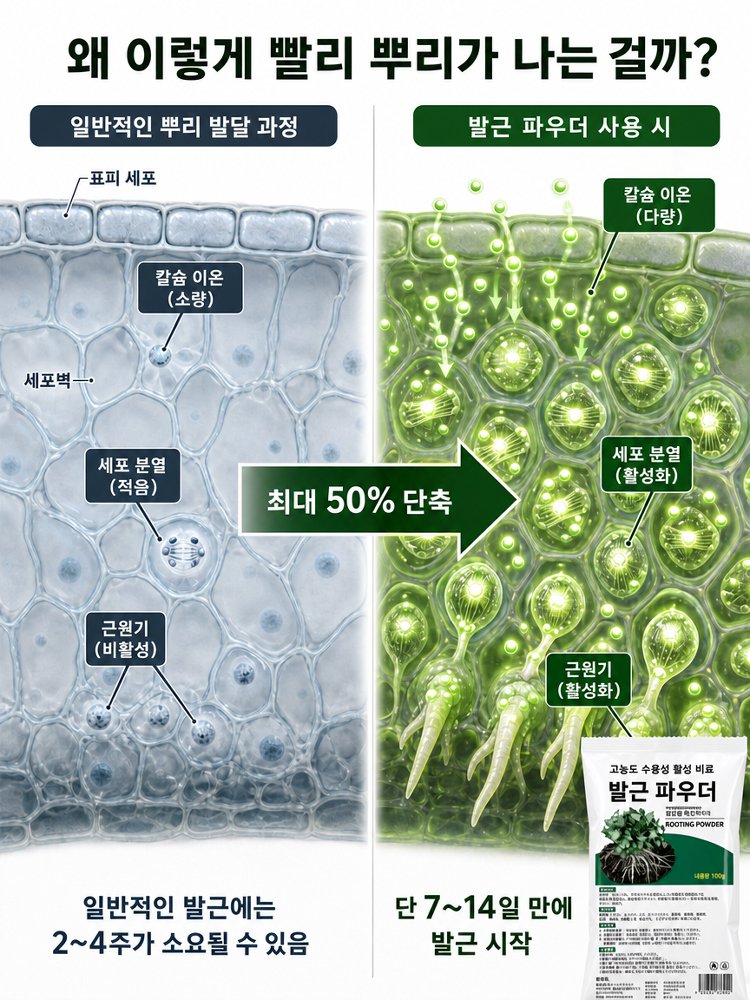 미친 생명력! 단 3일 완성 뿌리 폭발 마법 파우더