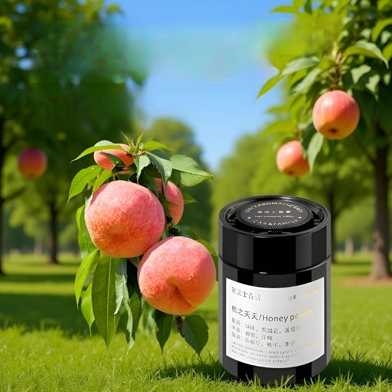 차량용 고체 방향제 사용 방법