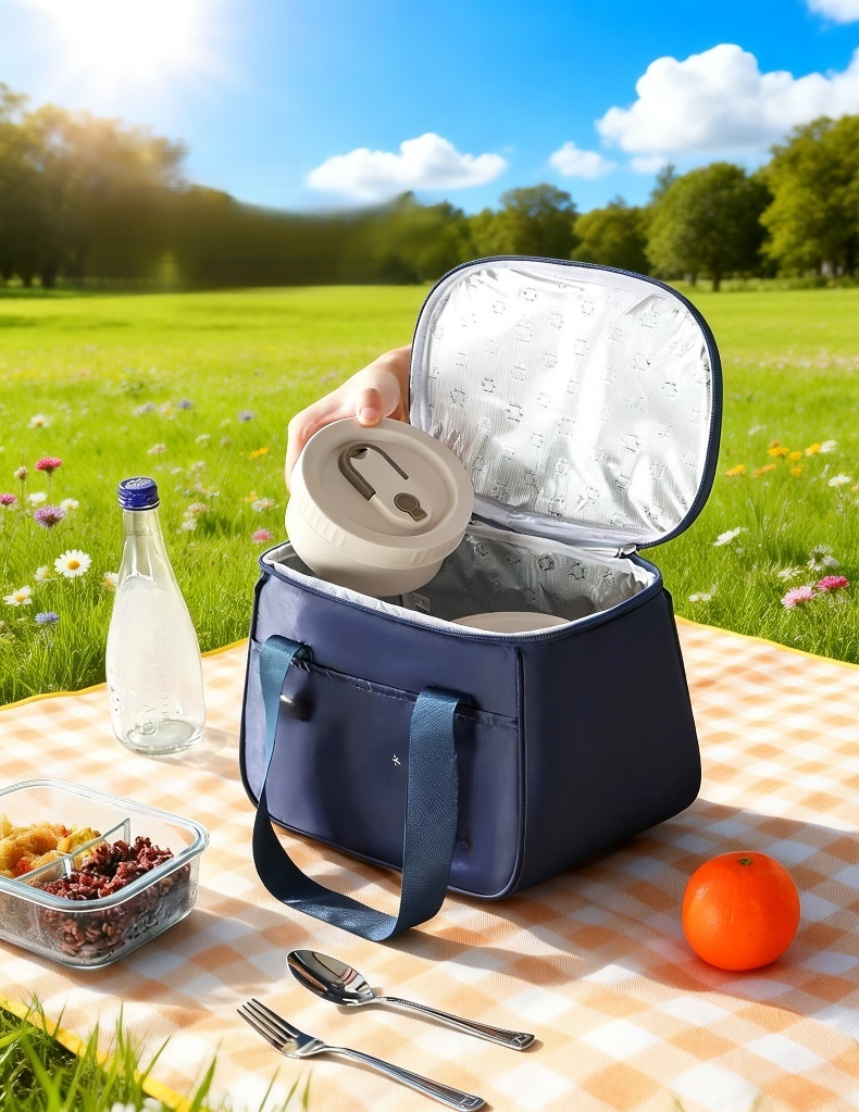 Portable large lunch bag with handle