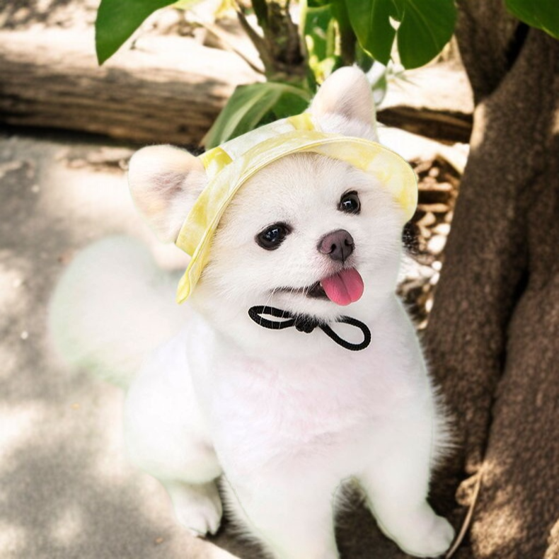 流域の帽子 かわいい 調節可能な王女の帽子 綿の耳絞め防止 耳日よけ流域の帽子