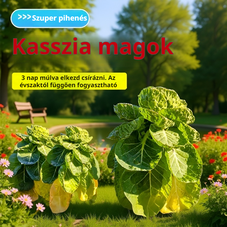 Édes, ropogós kelbimbó vetőmag