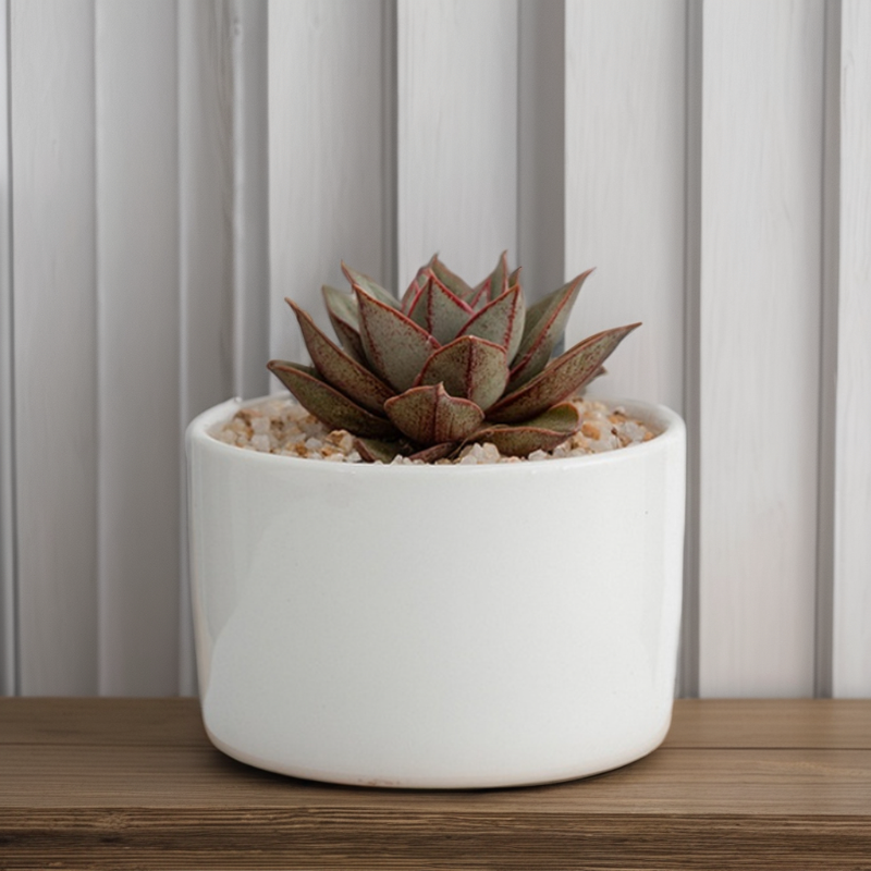 植物用白釉植木鉢