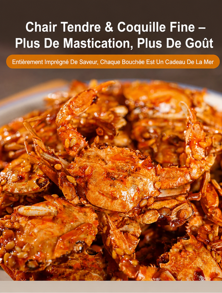 Image 4 - French Translation.png