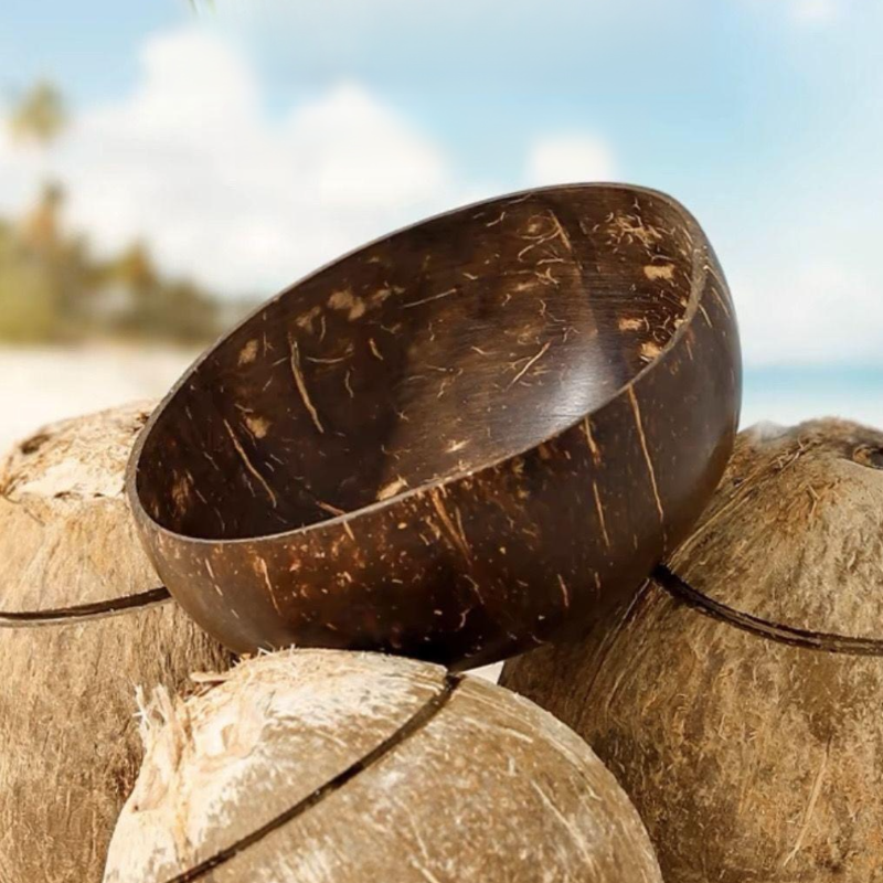 Czysta Natural Coconut Shell Bowl
