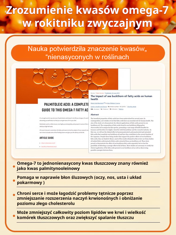 【Zwiększenie odporności i przeciwdziałanie starzeniu się】Wyniki z tamtego roku: sadzonki rokitnika o