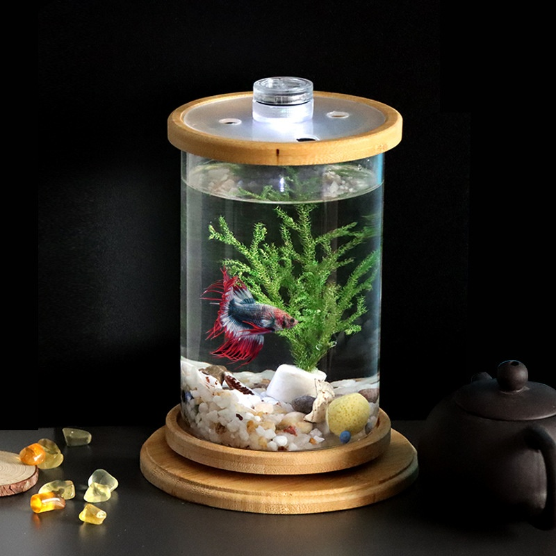 Drehbares Mini-Aquarium