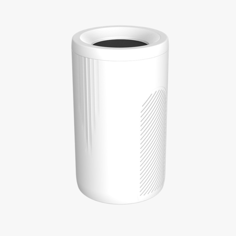 Portable Home Air Purifier for Smoke and Dust