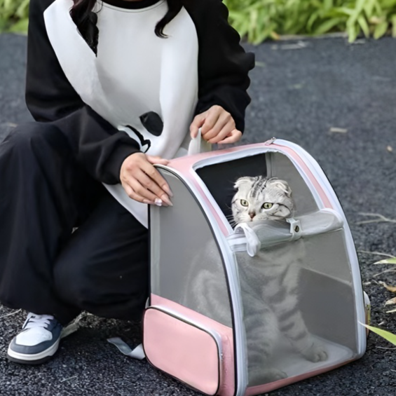 Large Capacity Mesh Storage Bag