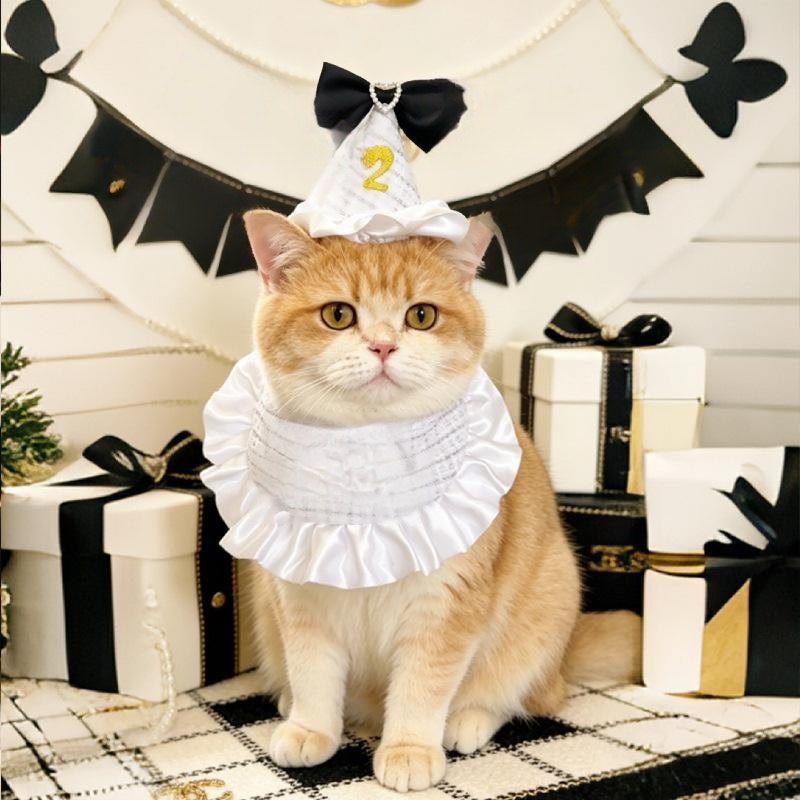 Nuevo sombrero para fiestas de mascotas