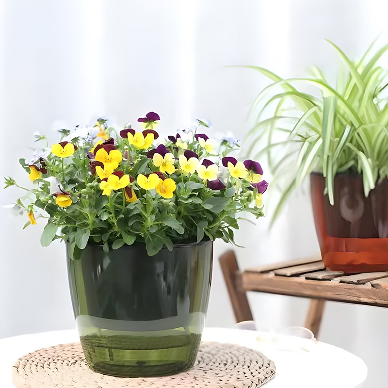 게으른 사람은 스스로 물을 준다 화분 화분