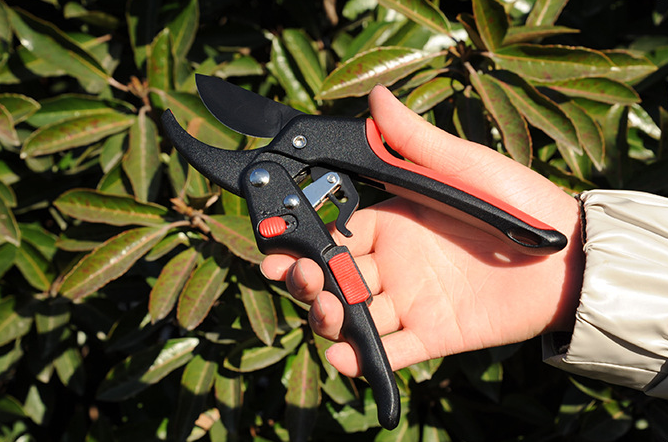 Modernes Design der verstellbaren Garten-Pulley-Schere