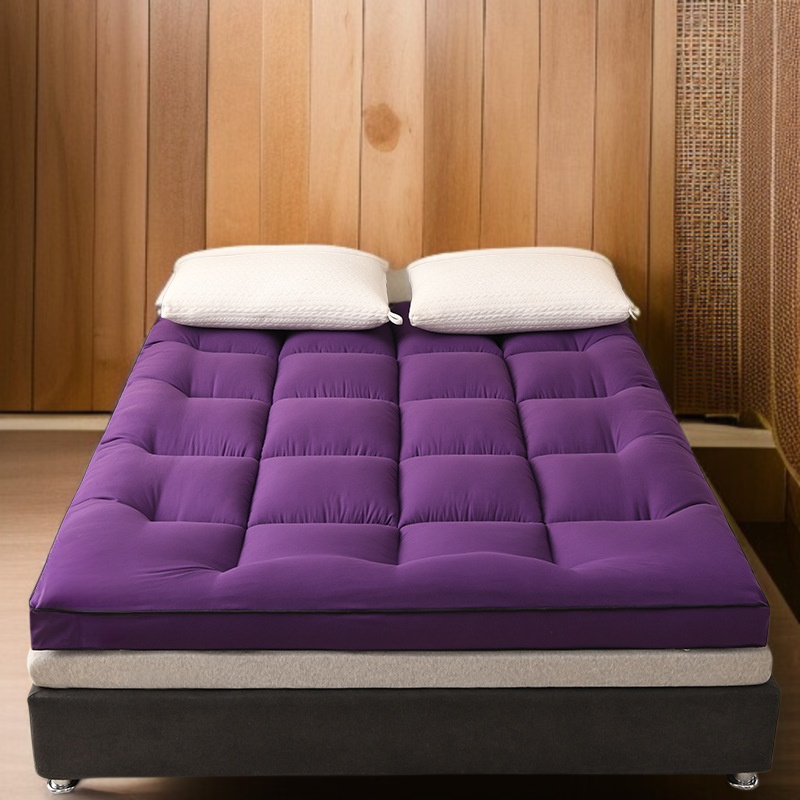 Thickened Feather Velvet Mattress for Student Dormitory Foldable Single Tatami Soft Mat