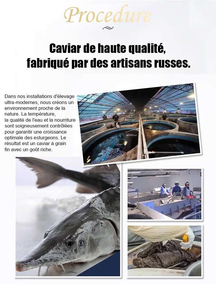 Caviar d'esturgeon noir de la mer Caspienne importé