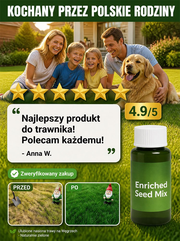 Nowozelandzka, wysokiej jakości odmiana. Kiełkuje w 7 dni!  Nie wymaga koszenia
