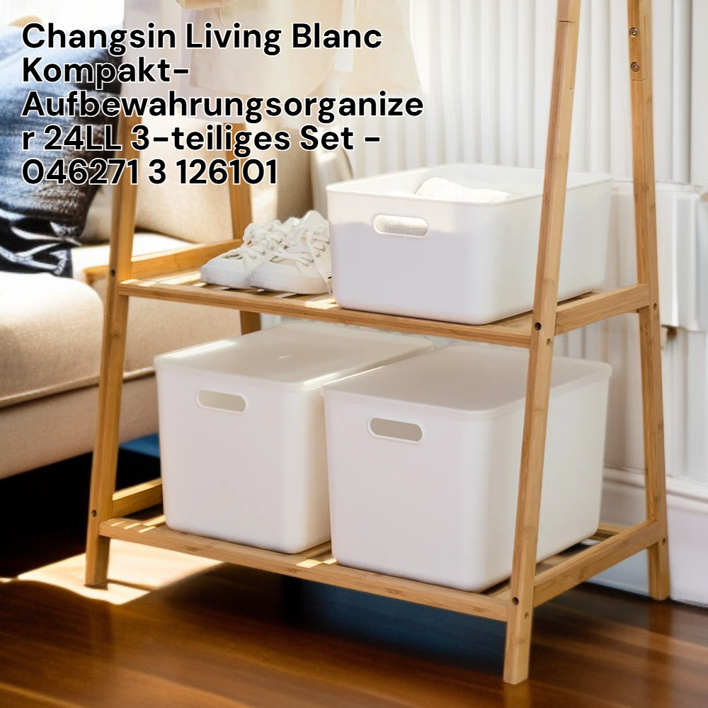 Changsinn Living Blanc Kompakte Aufbewahrungsbox 24L, 3er-Set
