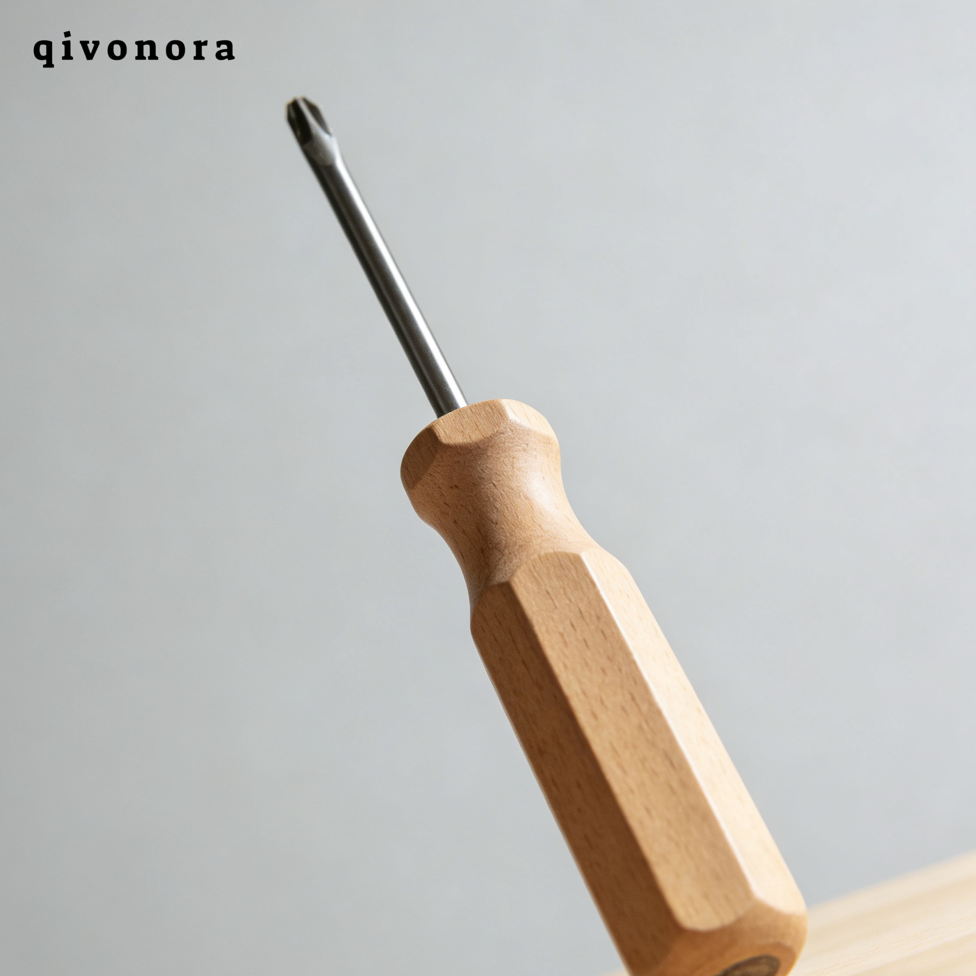 プラスドライバー（10本）