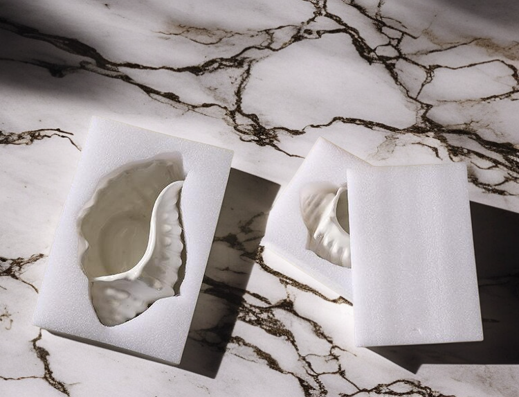 استخدام لوحة المجوهرات على شكل صدفة لتنظيم الاقراط