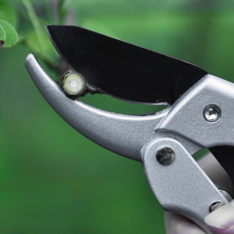 Multi functional garden pliers, fruit tree pruning pliers