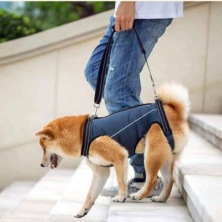 Pet Elderly Disabled Dog Walking Disability Assistance Belt