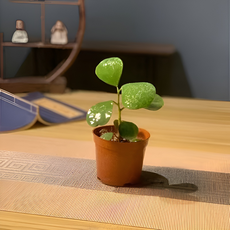 Cultivate oneself and cultivate one's character with Bodhi seedlings