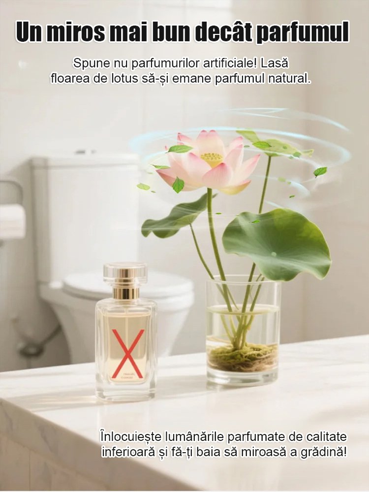 Lotus decorativ hidroponic