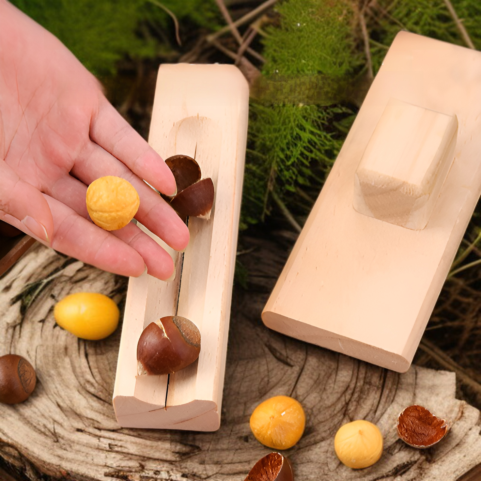 Otwieracz do kasztanów z kasztanami