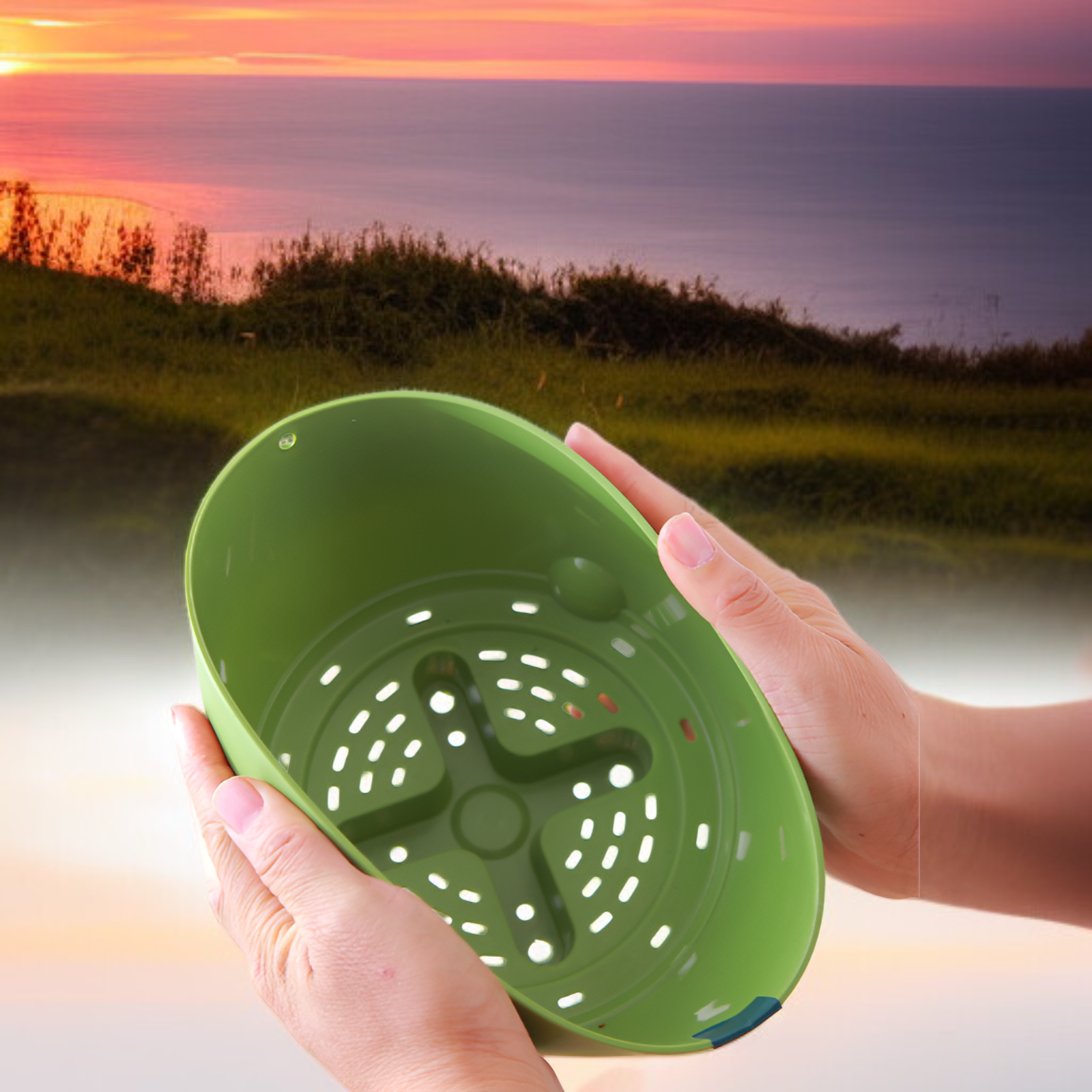 تنسيق الزهور