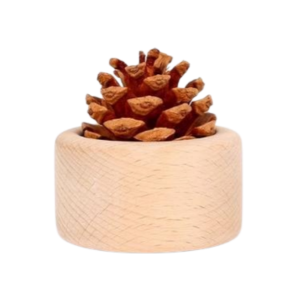 Dekoration mit Kiefernzapfen-Diffusor