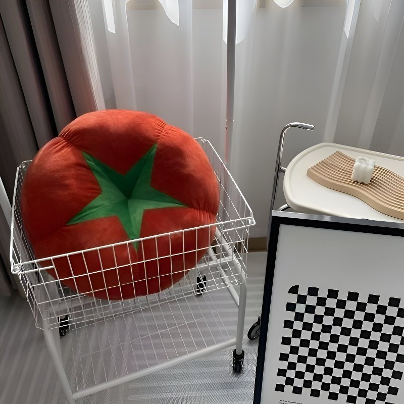 番茄多功能裝飾靠墊