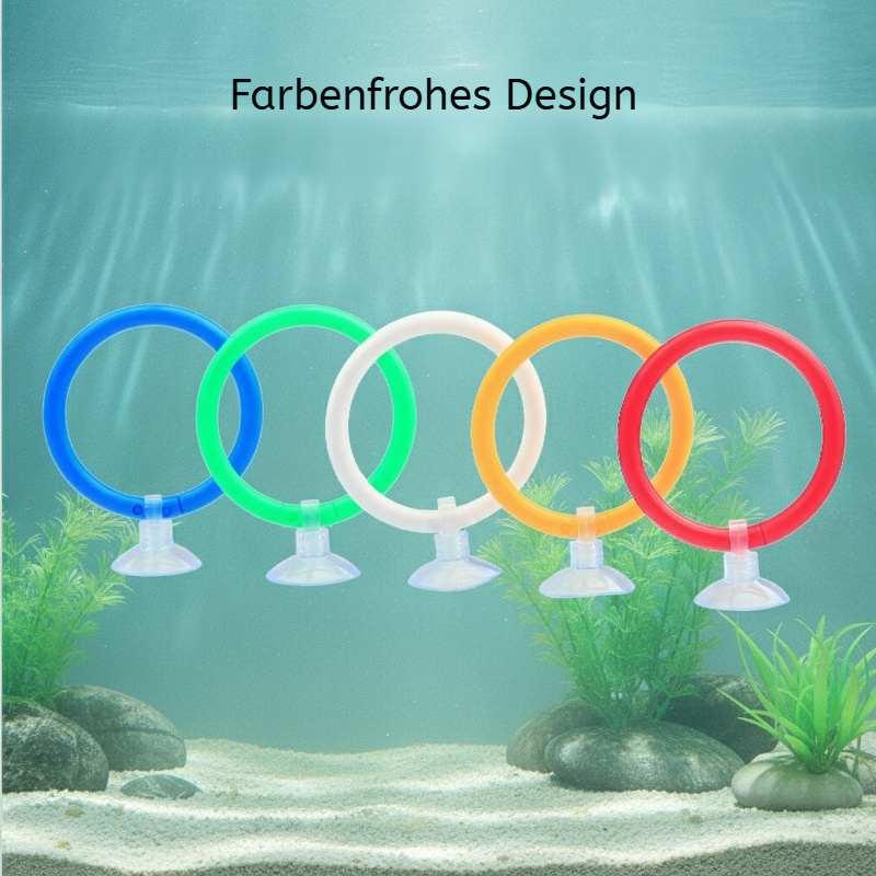 Ausstellungs- und Trainingsring für Betta-Fische