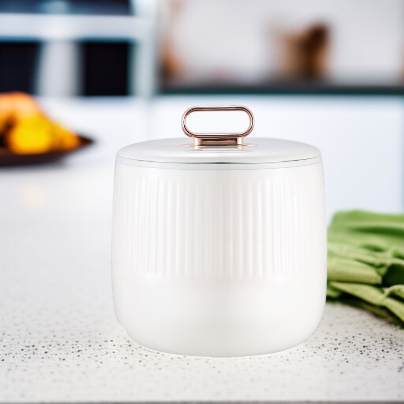 ミニ多用途炊飯器 コンパクトで持ち運び便利 寮専用