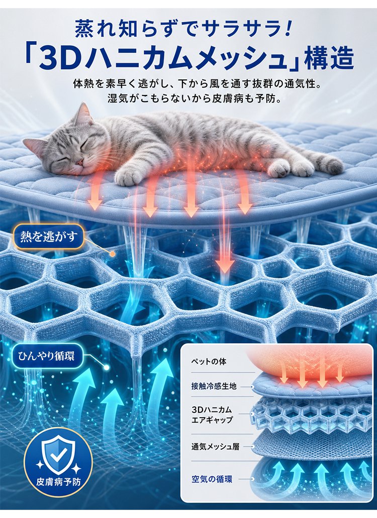 垫子_11.jpg